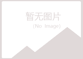 泽库县女孩会计有限公司